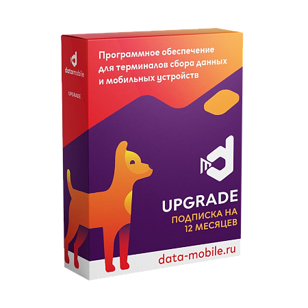 DataMobile Upgrade – подписка на 12 месяцев